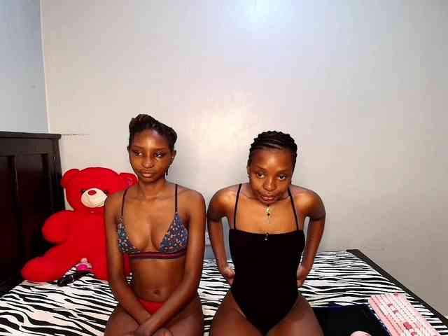 Veecatch webcam