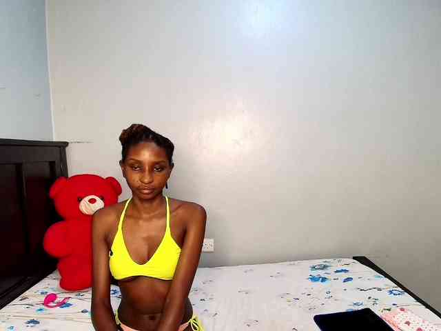 Veecatch webcam