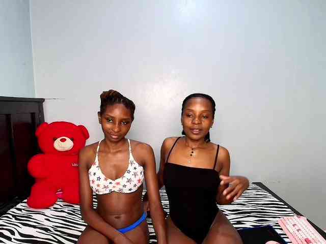 Veecatch webcam