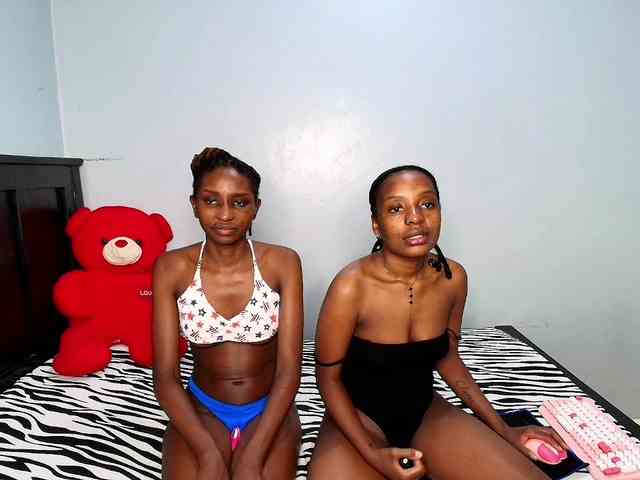 Veecatch webcam