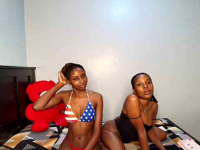 Veecatch webcam