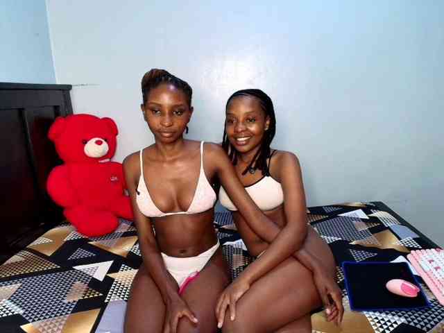 Veecatch webcam
