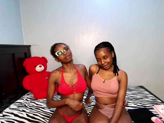 Veecatch webcam