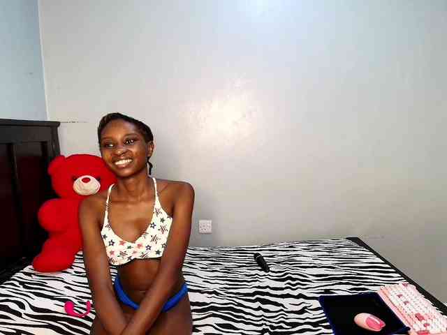 Veecatch webcam