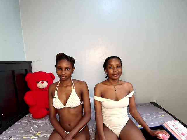Veecatch webcam