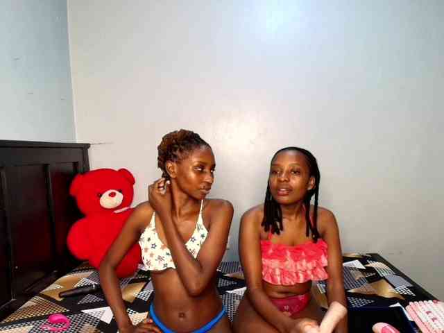 Veecatch webcam