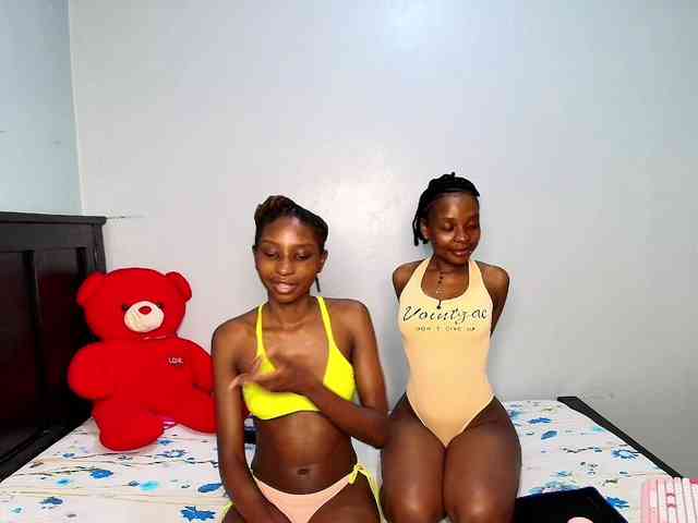 Veecatch webcam