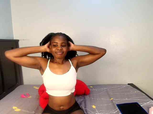 Veecatch webcam