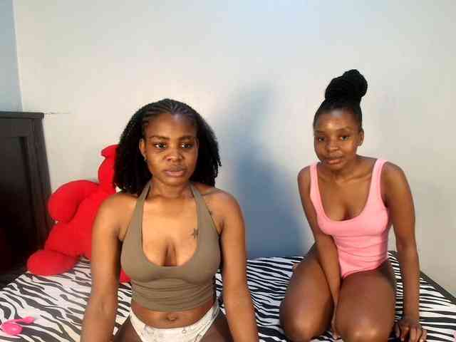 Veecatch webcam