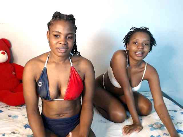 Veecatch webcam