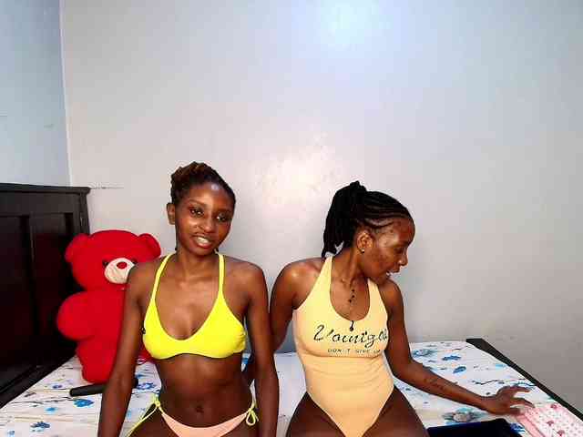 Veecatch webcam