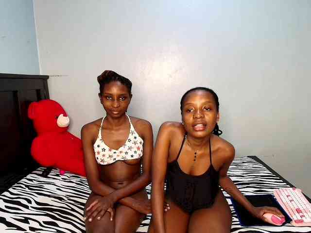 Veecatch webcam