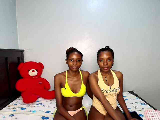 Veecatch webcam
