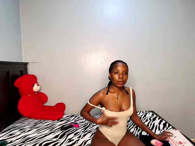 Veecatch webcam