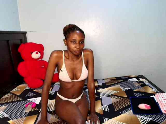 Veecatch webcam