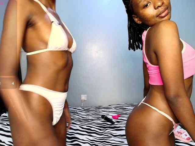 Veecatch webcam