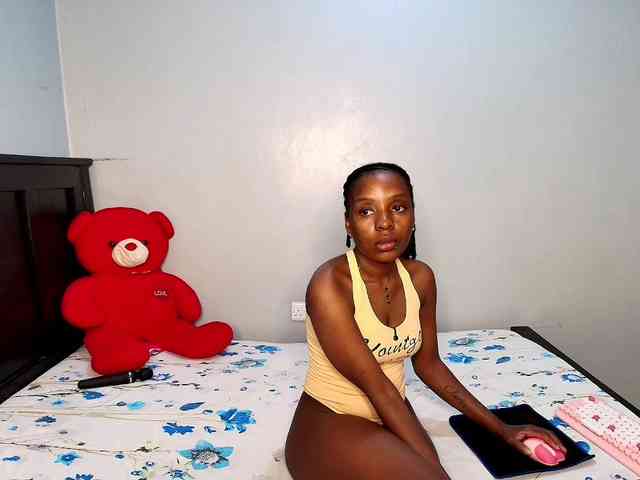 Veecatch webcam
