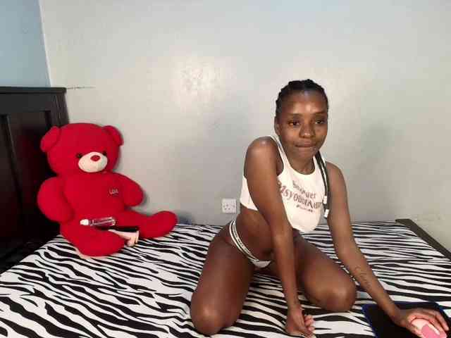 Model: Veecatch