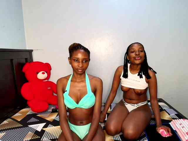 Veecatch webcam