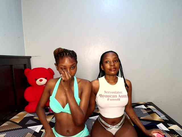 Veecatch webcam