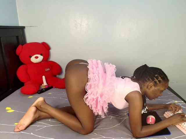 Veecatch webcam