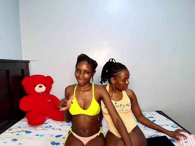 Veecatch webcam