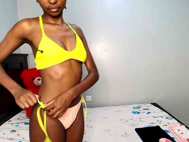 Veecatch webcam