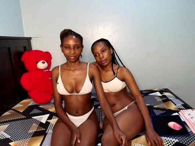 Veecatch webcam