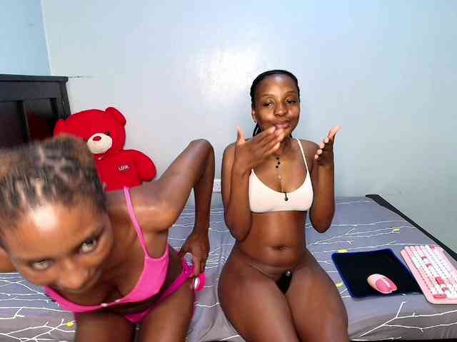 Veecatch webcam