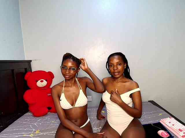 Veecatch webcam