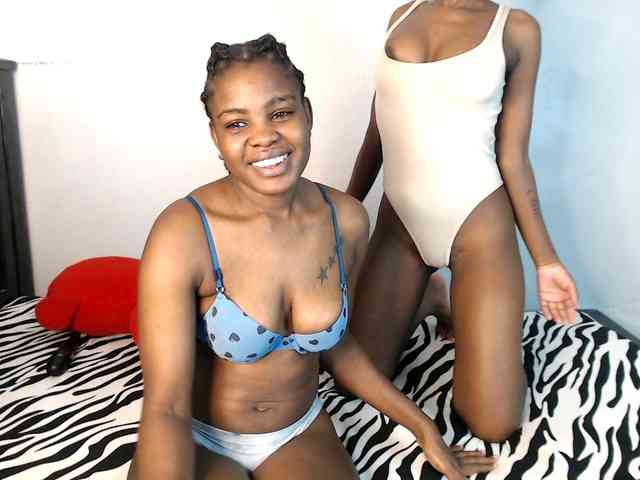 Veecatch webcam