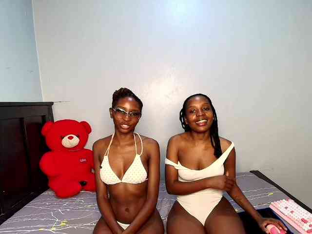 Veecatch webcam