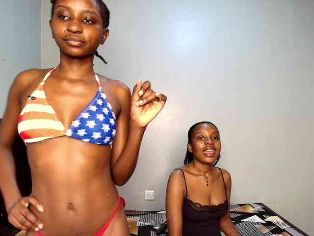Veecatch webcam