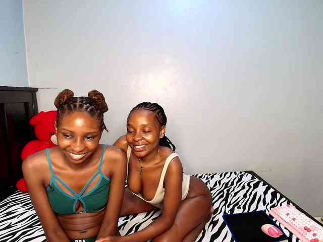 Veecatch webcam