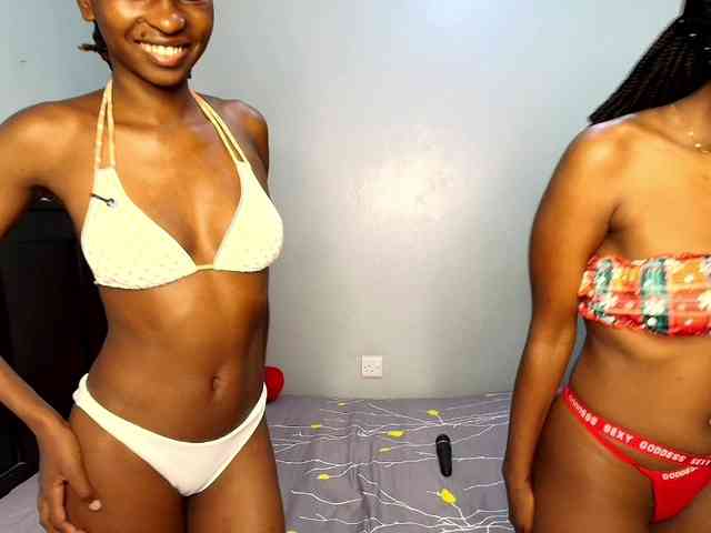 Veecatch webcam