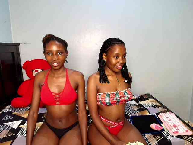 Veecatch webcam