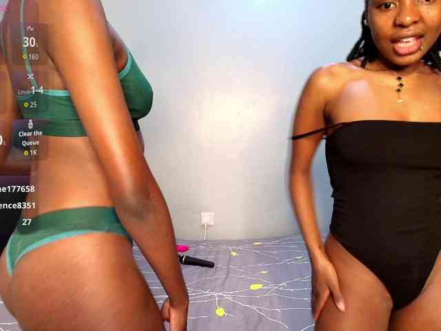 Veecatch webcam