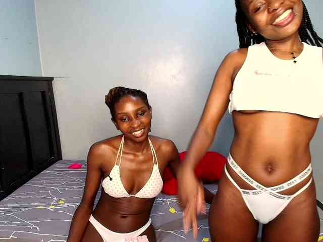 Veecatch webcam
