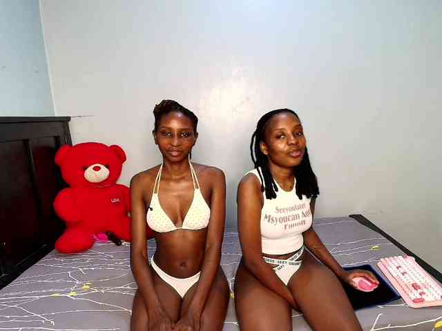 Veecatch webcam