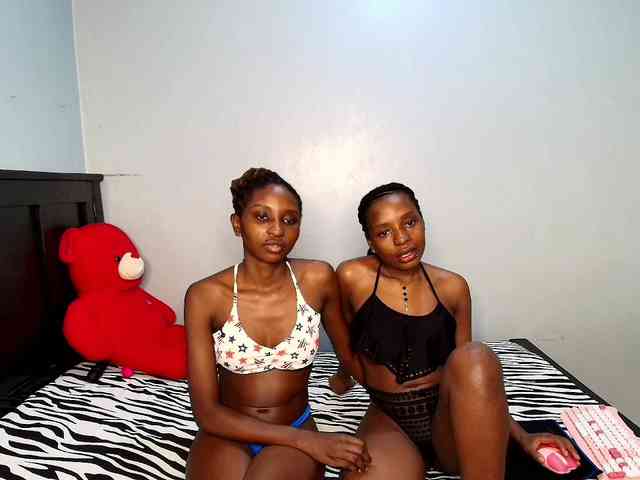 Veecatch webcam