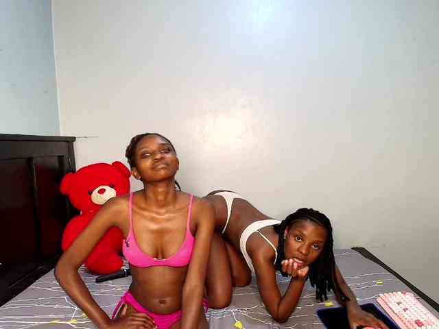 Veecatch webcam