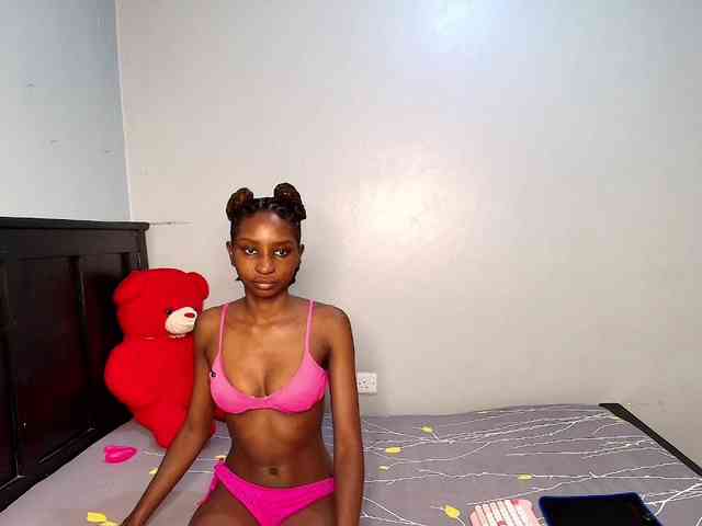 Veecatch webcam