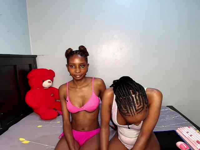 Veecatch webcam