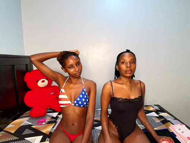 Veecatch webcam