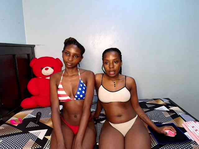 Veecatch webcam
