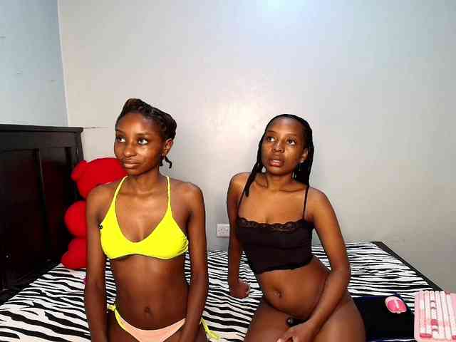 Veecatch webcam