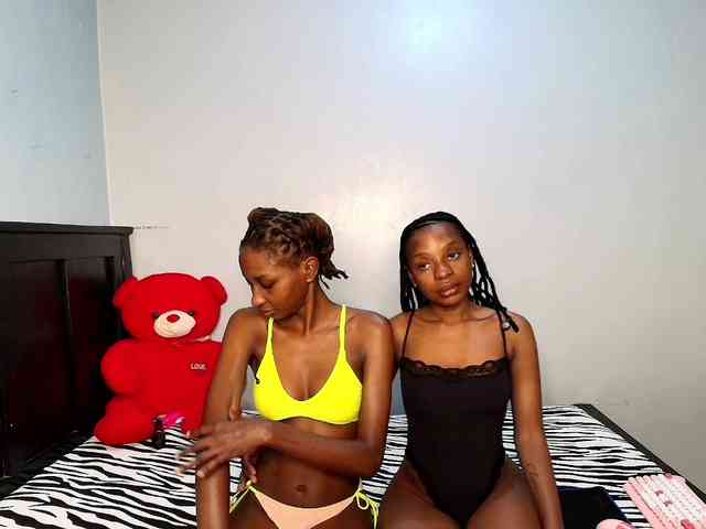 Veecatch webcam