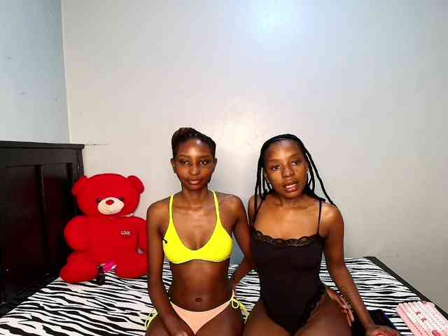 Veecatch webcam