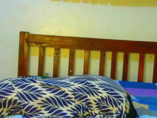 Blackpather959 webcam