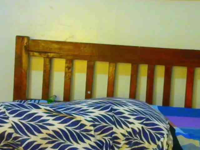 Blackpather959 webcam